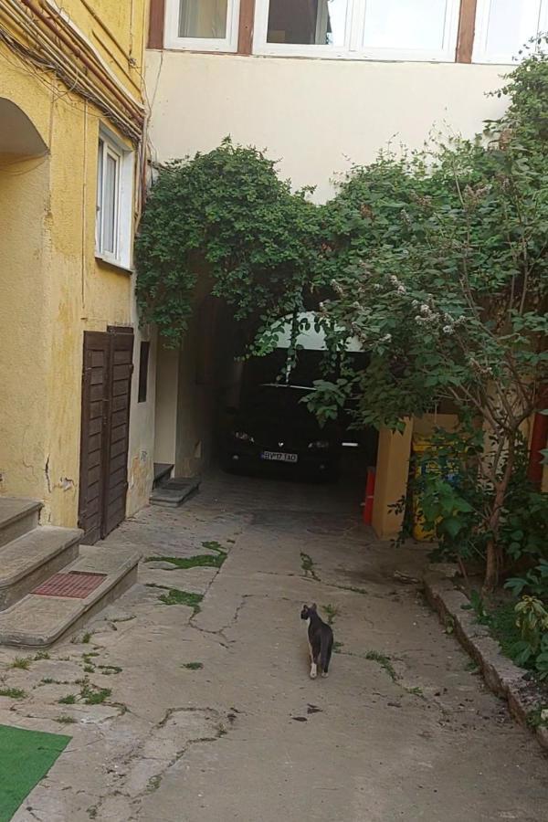 Appartement Apartament Diaconu Coresi à Braşov Extérieur photo